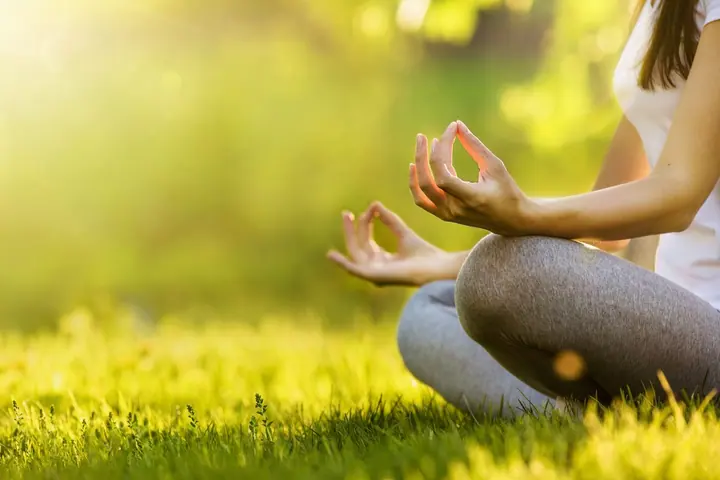 Meditação Ecológica — experiência Catividade